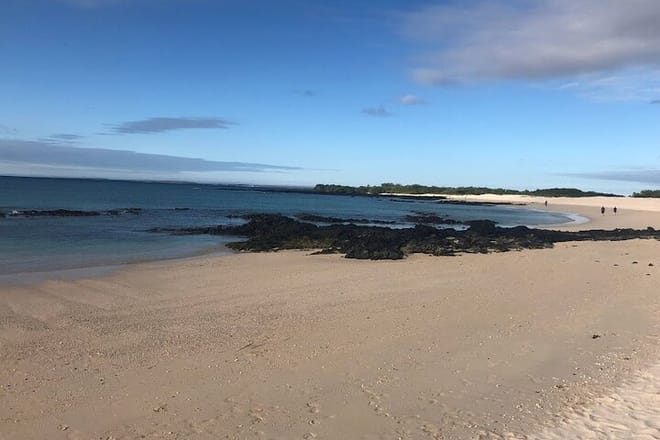Galapagos Beach