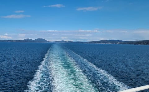 Private Day Tour from Vancouver to Victoria with Ferry Ride