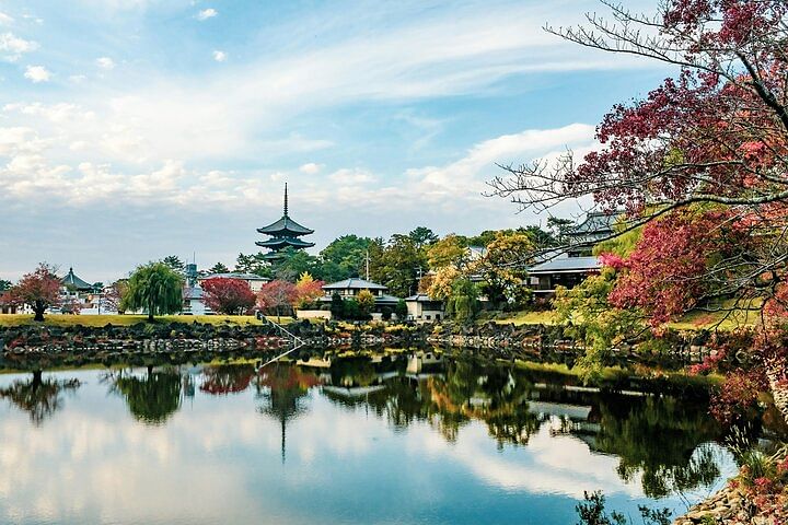 Nara Culinary Tour with a Chef!