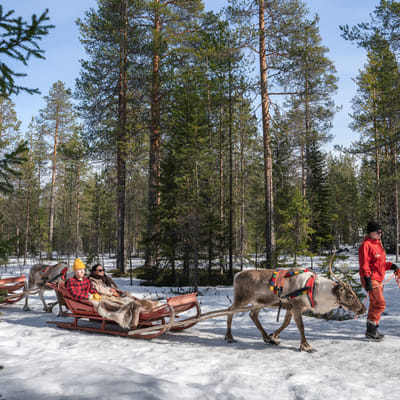 Winter Adventure Reindeer Safari in Rovaniemi, Santa Claus Village