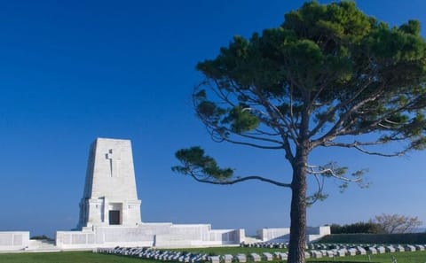 Full Day Troy Tour