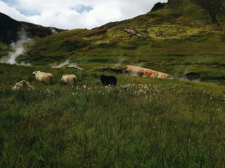 Private Reykjadalur & Grændalur Circle Hike, photo 8