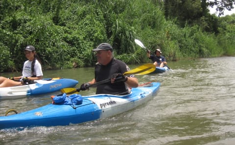 2-Day Kayaking Adventure on Mae Ping River from Chiang Mai