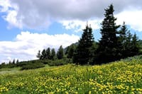 Vitosha Mountains and Cherni Vryh Peak (2290m) 2