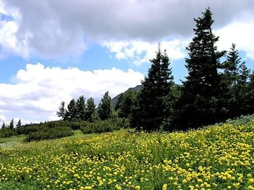 Hiking Tour of Vitosha Mountains and Cherni Vryh from Sofia