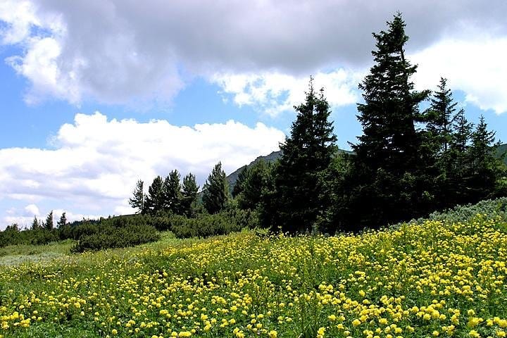 Vitosha Mountains and Cherni Vryh Peak (2290m) 2