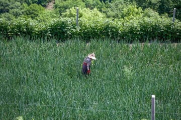 Fully Private Full-Day Kakheti – Wine Region Guided Tour