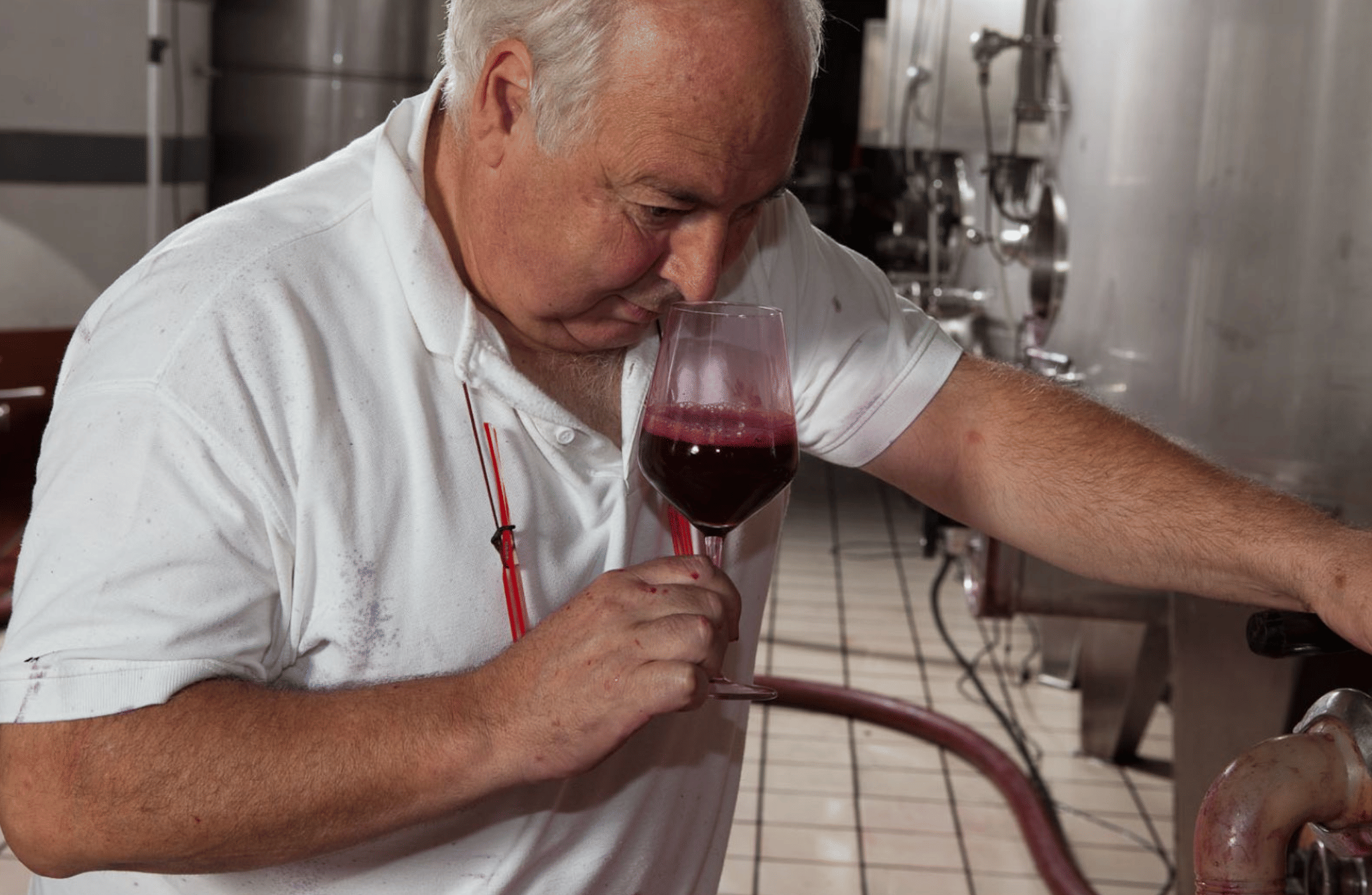 Winery Tour & Tasting on Padua Hills