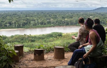 Amazon Jungle Tour in Madidi National Park from Rurrenabaque