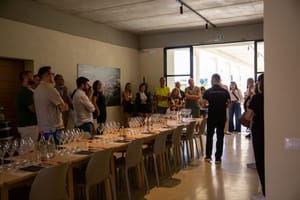 Wine tasting in Franciacorta: "Camilucci Experience”