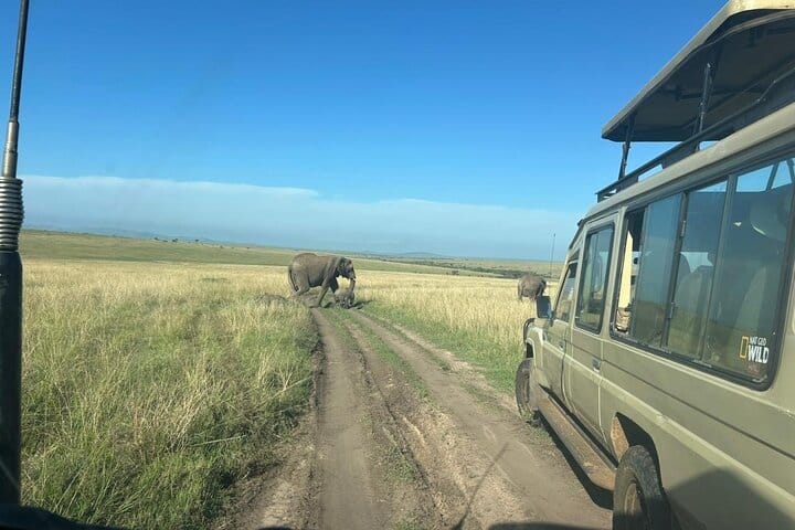 2-Day Masai Mara Safari with Game Drives
