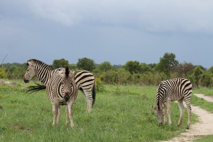 15 minutes scenic helicopter flight above Victoria Falls-Zimbabwe