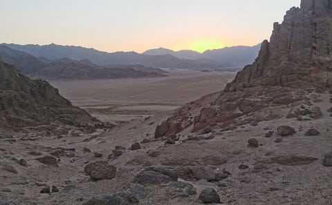 Desert Safari Adventure in Sharm El-Sheikh, Egypt