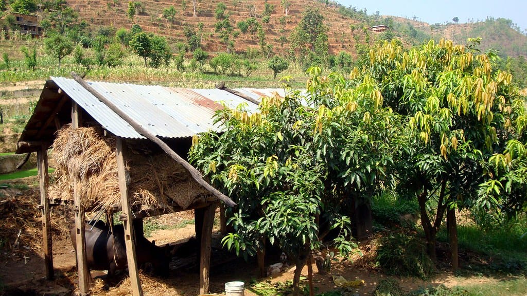 19 Days Mera Peak Climbing & Expedition – One Life-Changing Himalayan Adventure