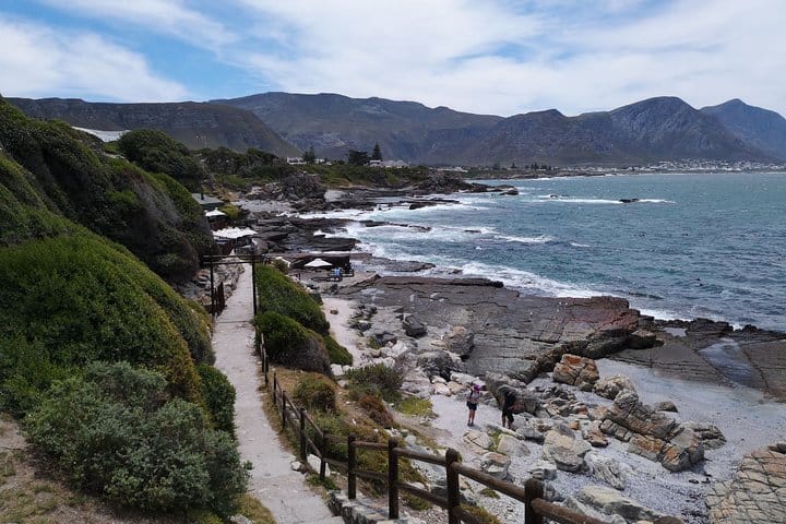 Whale Watching Boardwalk for shore watching