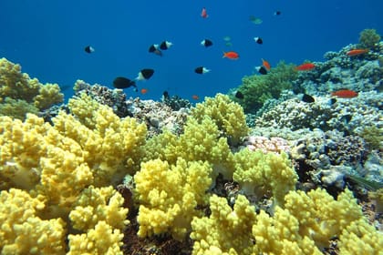 Adventurous Week in Hurghada with Culture and Relaxation