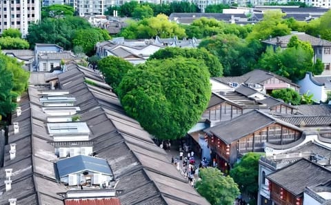 Guided Walking Tour of Fuzhou's Three Lanes and Seven Alleys
