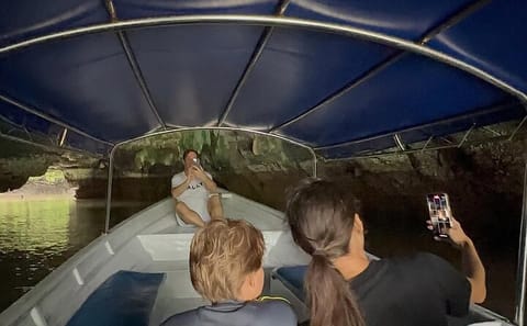 Langkawi Mangrove Boat Tour