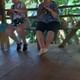 Foto 44