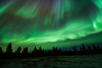 Evening Snowshoeing to Search for the Northern Lights in Levi 5