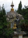 "BIKE 8" 1-Day Rain forest and lake, mountain bike ride, Chiang Mai 6