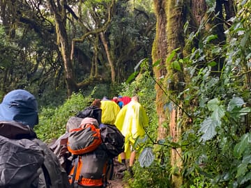 6-Day Mount Kilimanjaro Trek: Marangu Route Classic Hut Accommodation