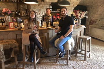 Olive Oil Tasting Tour at Tenuta Santa Maria Valverde, Italy