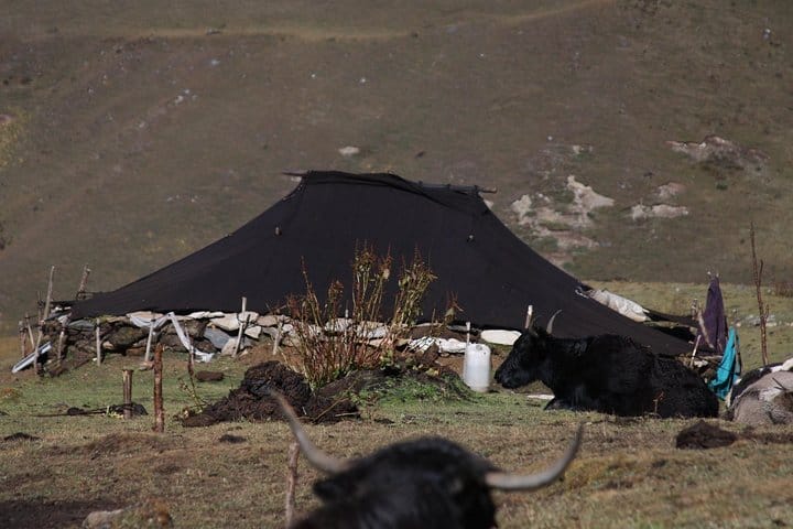 19 Days Mera Peak Climbing & Expedition – One Life-Changing Himalayan Adventure