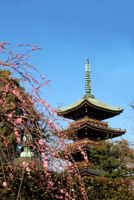 Ueno, Yanaka, Sendagi Heritage Guided Walking Tour photo 6