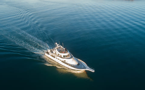 Solar Eclipse Viewing Cruise in Reykjavík Bay, Iceland