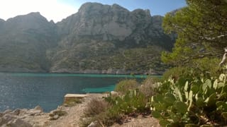 Hike with a Calanque Expert
