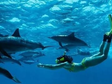 Dolphin Watching and Snorkeling Tour at Mnemba Island, Tanzania