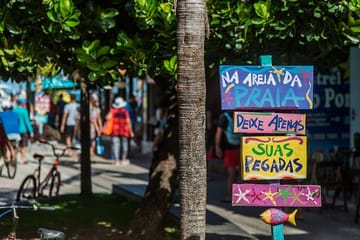 Day Trip to Porto de Galinhas Beach from Ipojuca and Recife