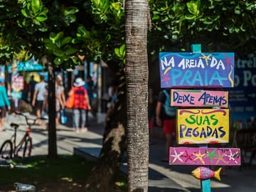 Day Trip to Porto de Galinhas Beach from Ipojuca and Recife