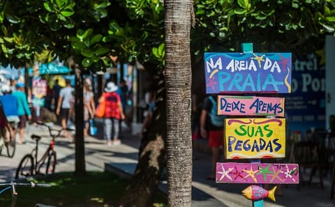 Day Trip to Porto de Galinhas Beach from Ipojuca and Recife