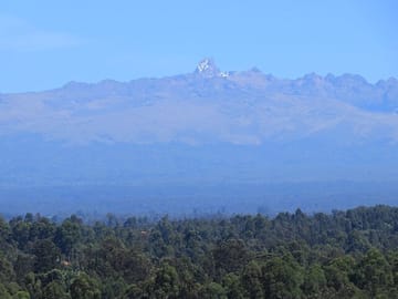 Background picture of my Kenya