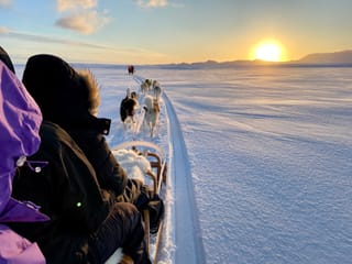 Dog Sledding Near Reykjavik , photo 18