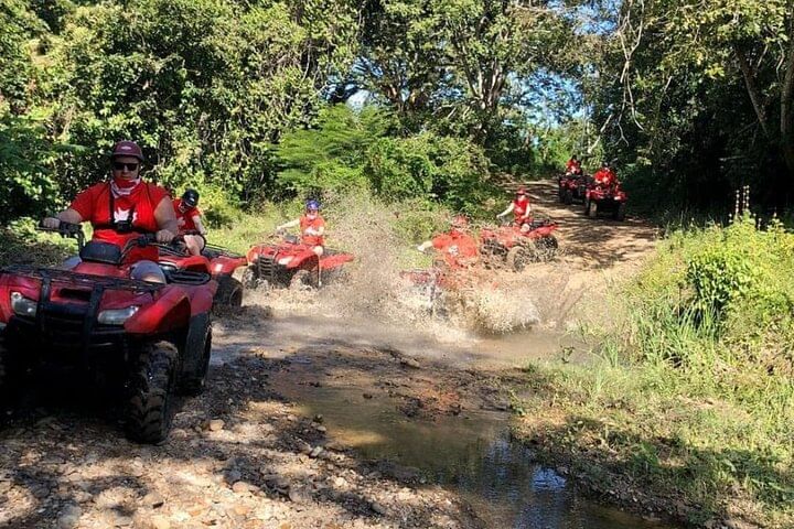 Damajagua Waterfalls and Monkey Private Van Tour