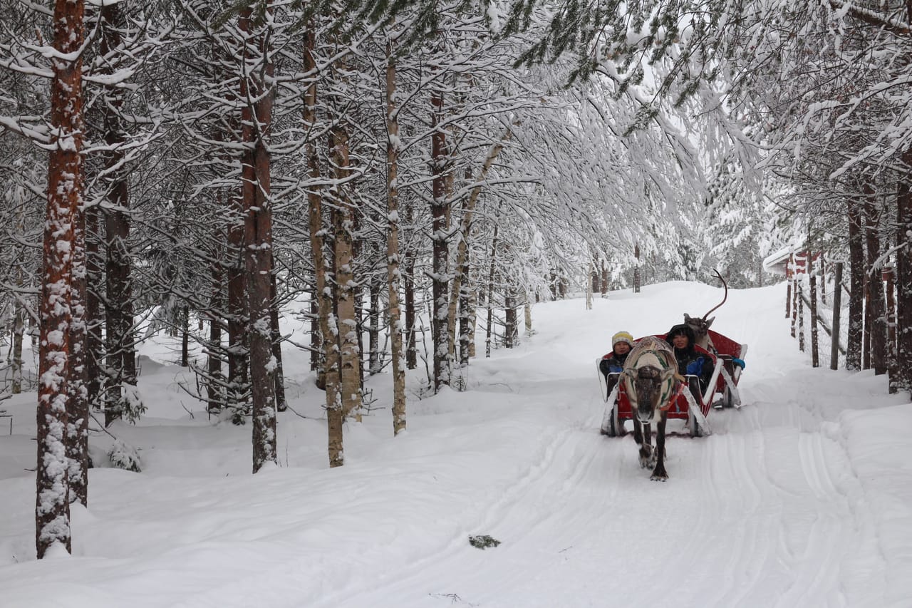 Active Family Day Adventure - Rovaniemi 7