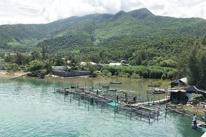 Da Nang: Full-day Hai Van Pass And Lang Co Beach Scenic Discovery