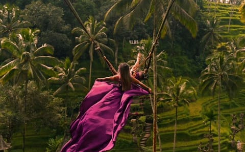 Private Tour of Ubud's Waterfalls, Rice Terraces, and Monkeys