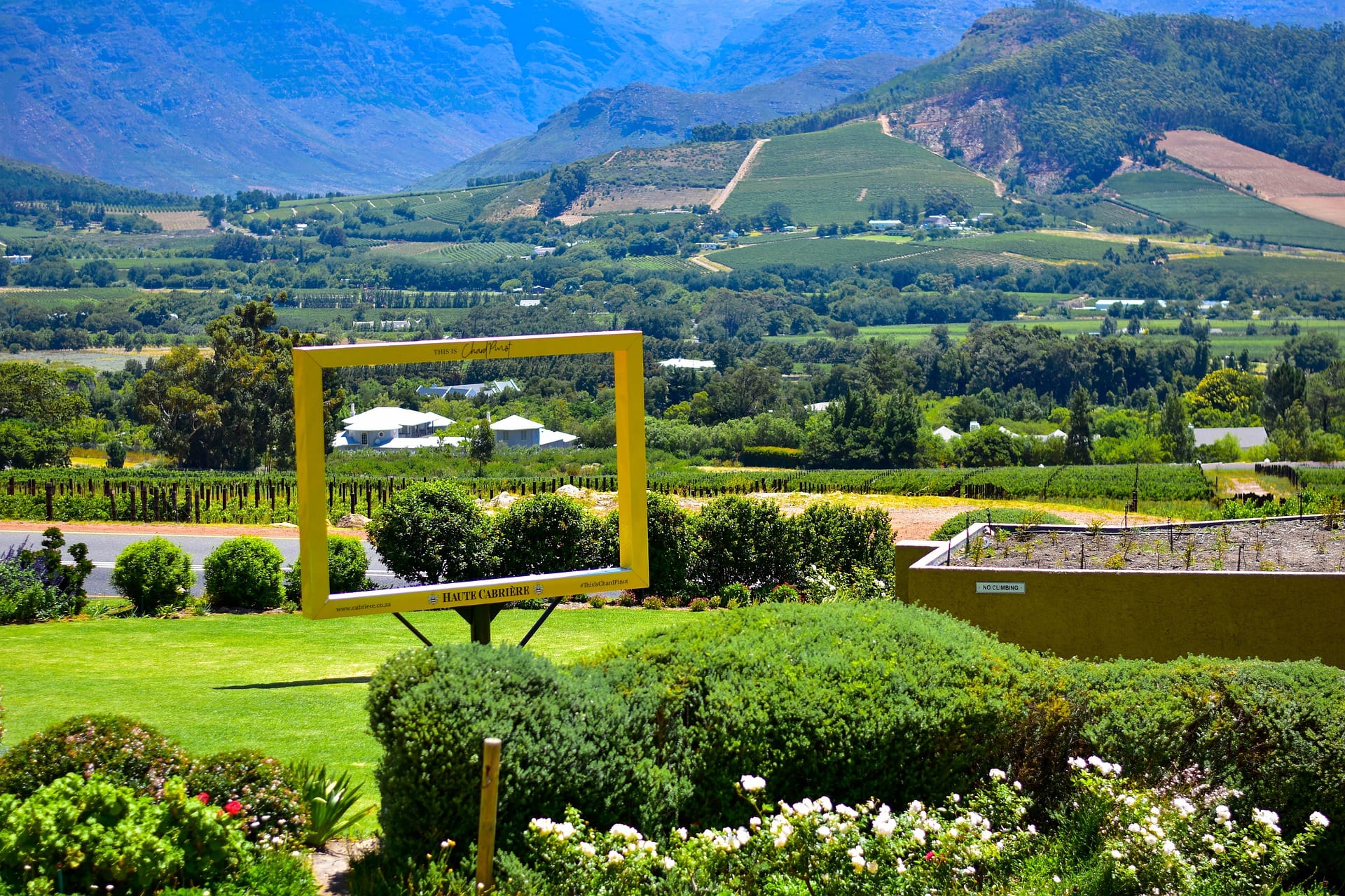 Private Cape South Africa Wine Tasting Tour & Stellenbosch.