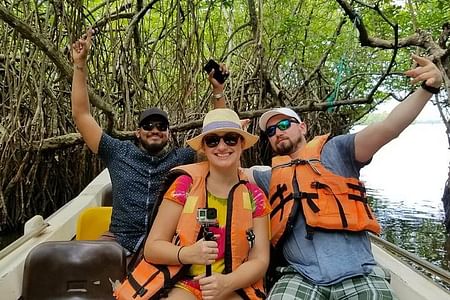 Madu River Safari & Turtle Farm Adventure in Bentota, Sri Lanka