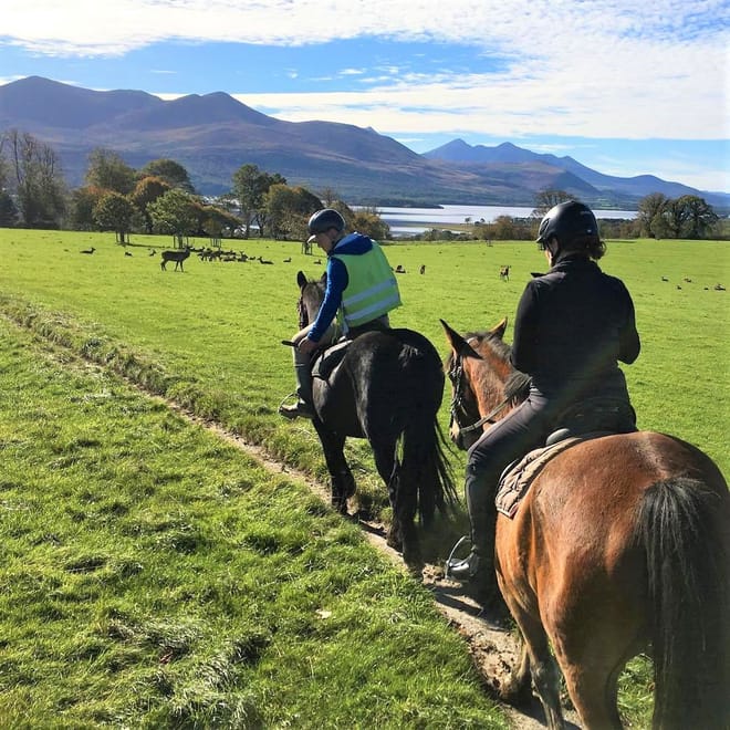 Killarney National Park horseback ride. Kerry. Guided. 2 hours. 8