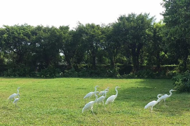 Private Day Tour to Chimelong Paradise and Birds Park from Guangzhou 4