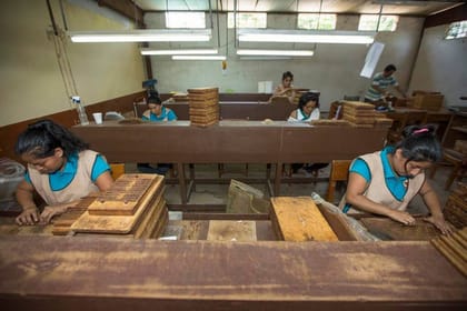 Tar-01 : Tarapoto’s Hidden Treasures – City, Chocolate, and Animal Tours