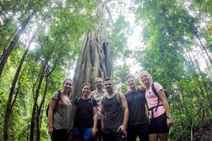 Chiang Mai 7-Hour Doi Suthep National Park Summit Hiking