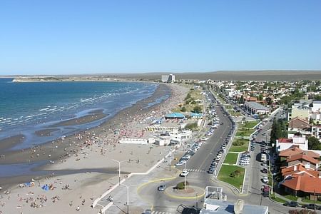 City Tour & Sea Lion Encounter at Punta Loma, Puerto Madryn