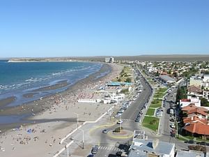 City Tour and Sea Lions at Punta Loma from Puerto Madryn
