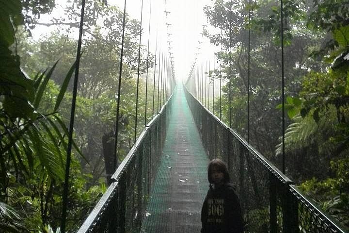 Cloud Forest Canopy Walk with Expert Naturalist Guide in Tilaran